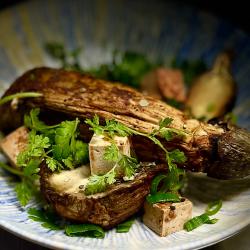 Aubergine
